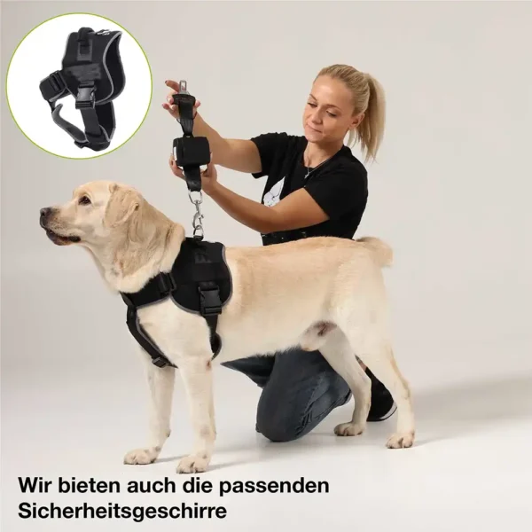 RollUP Sicherheitsgurt für Hunde im Auto