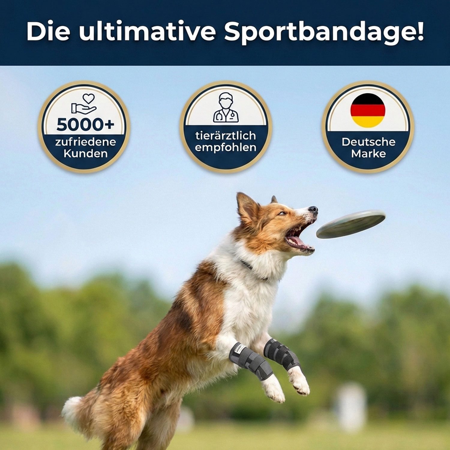 Sportbandage für Hunde