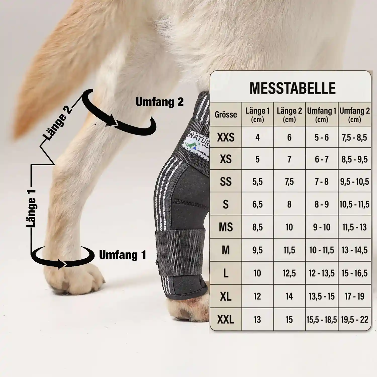 Sprunggelenkschutzbandage für Hunde von Nature Pet