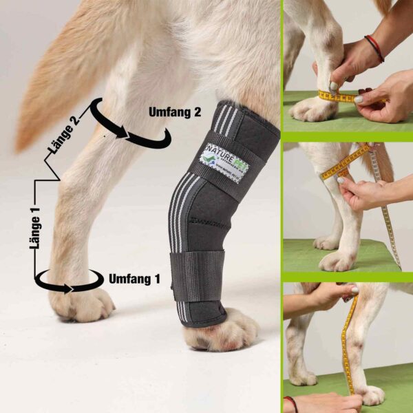Sprunggelenk Bandage für Hunde Pfaff Nature Pet