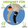 Sprunggelenkbandage für Hunde