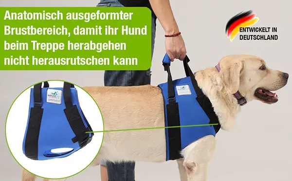 Unterstützen Sie Ihren Hund mit Nature Pet tragehilfen