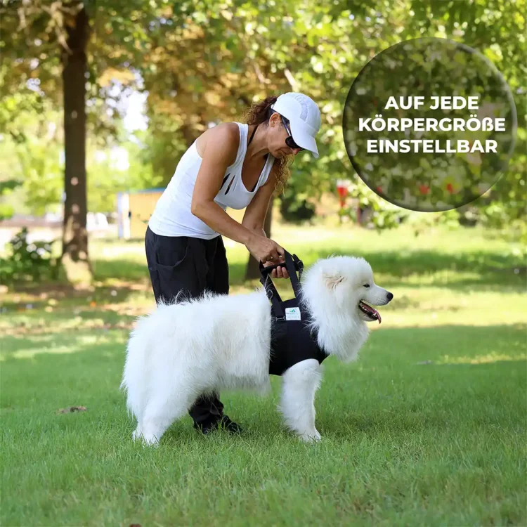 Hunde Tragehilfe vorne 23 Einstellbarkeit für die Nature pet Hunde Tragehilfe vorne