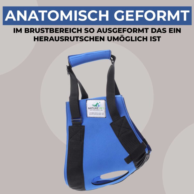 Hunde Tragehilfe vorne 31 Tragehilfe für Hunde vorne