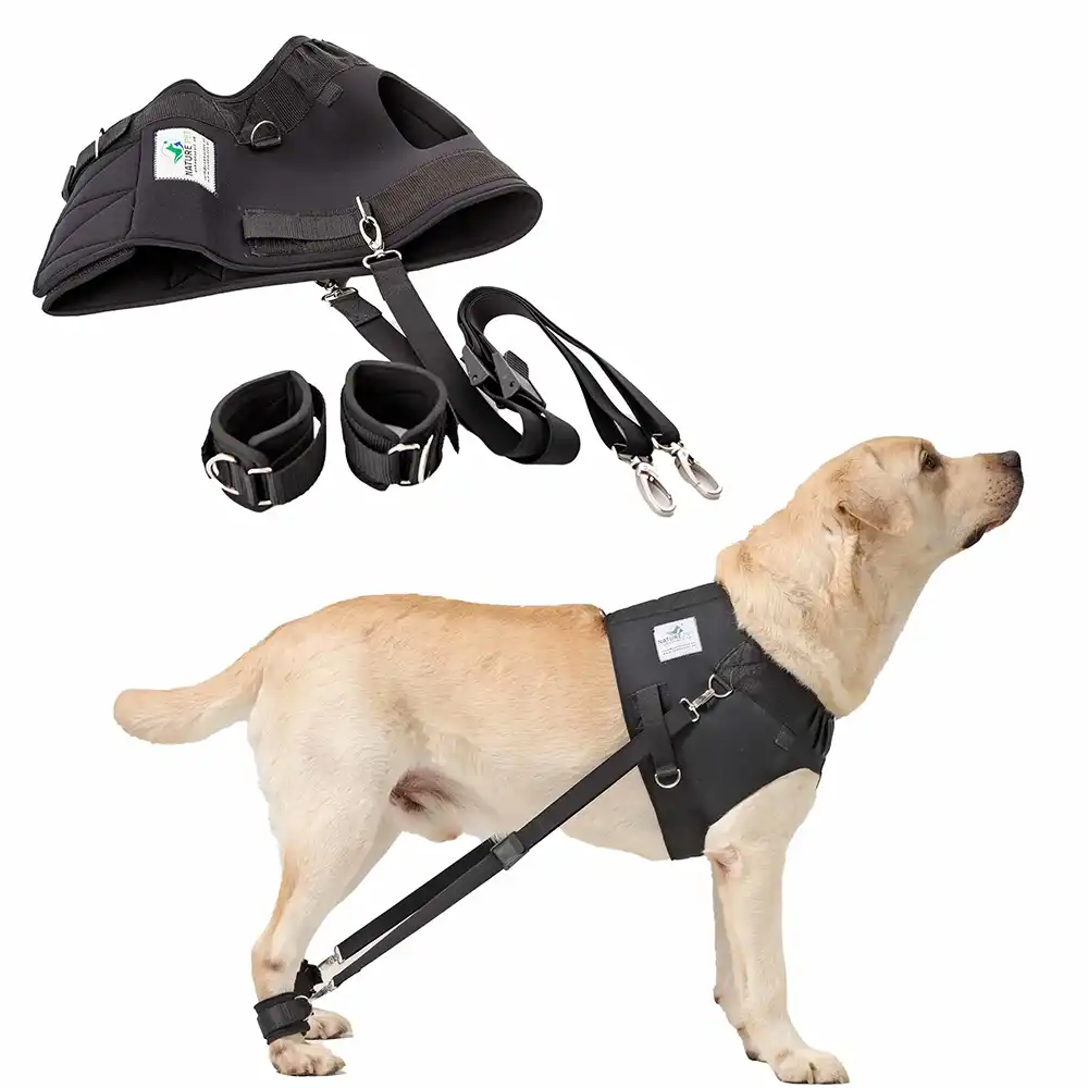 Trainingsgeschirr_Hund_Main2 FlexiPander Trainingsgeschirr fuer Hunde