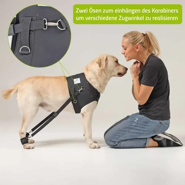 Expander Trainingsgeschirr für Hunde 21 FlexiPander Trainingsgeschirr fuer Hunde