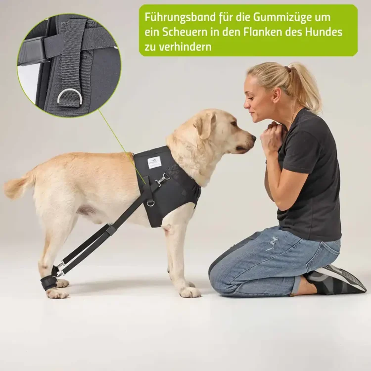 Expander Trainingsgeschirr für Hunde 23 FlexiPander Trainingsgeschirr fuer Hunde