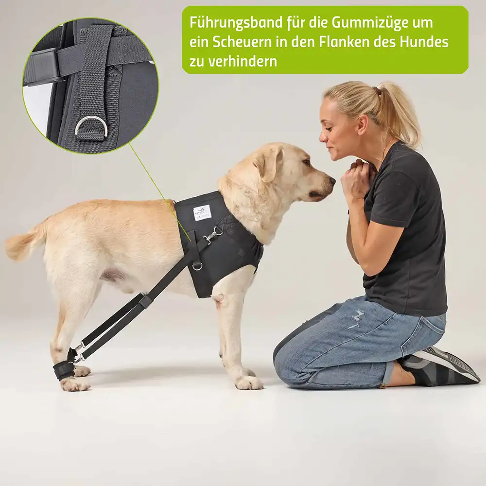 Trainingsgeschirr_Hund_USP2 FlexiPander Trainingsgeschirr fuer Hunde