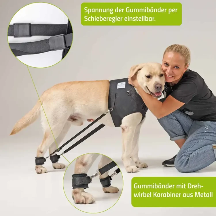 Expander Trainingsgeschirr für Hunde 25 FlexiPander Trainingsgeschirr fuer Hunde
