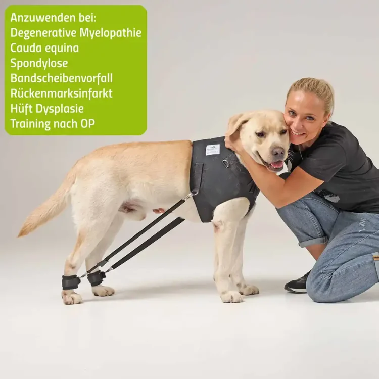 Expander Trainingsgeschirr für Hunde 29 FlexiPander Trainingsgeschirr fuer Hunde