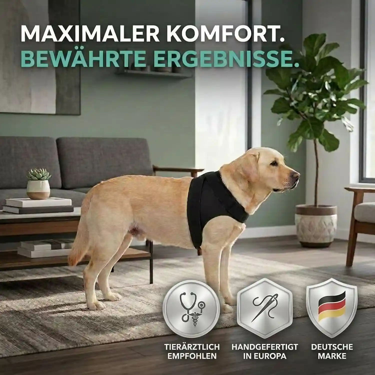 Schulterkompressions Bandage für Hunde von Nature Pet