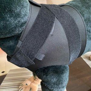 Schulter Bandage für Hunde