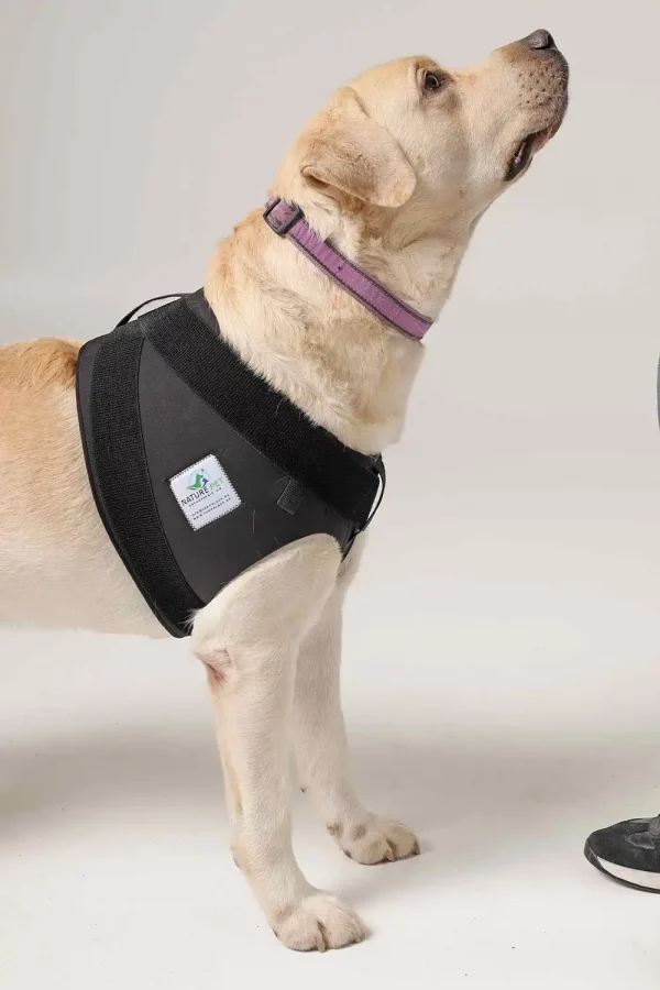 Schulterbadage für Hunde von NATURE PET