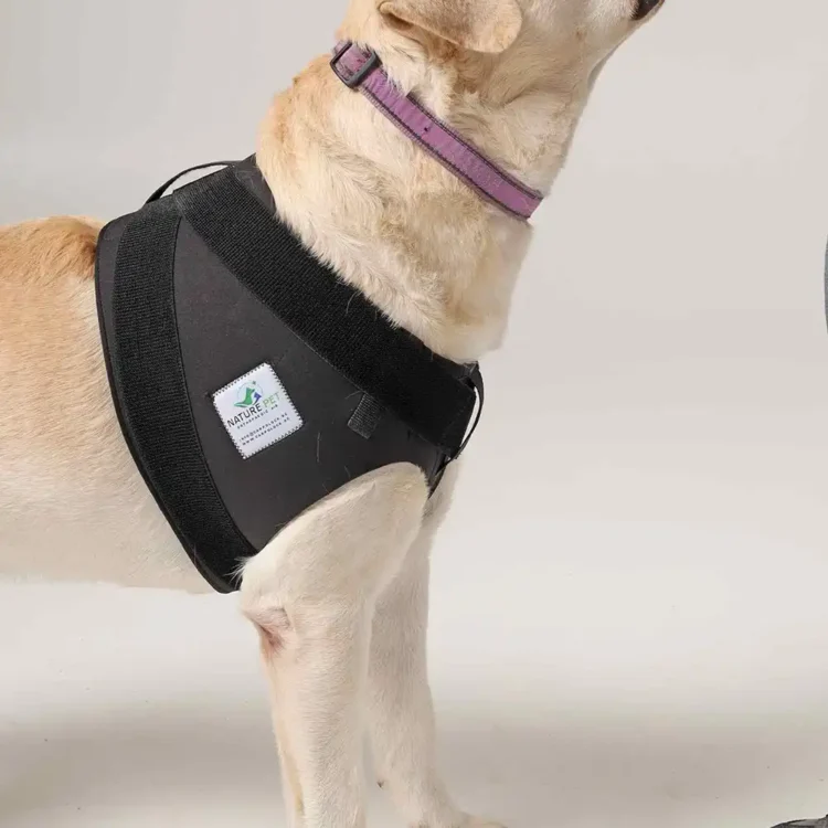 Schulter-Bandage 23 Schulterbadage für Hunde von NATURE PET