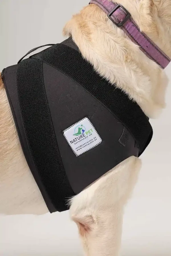 Vermeiden oder heilen Sie die SCHULTERPROBLEME ihres Hundes mit der Schulterbandage von Nature Pet