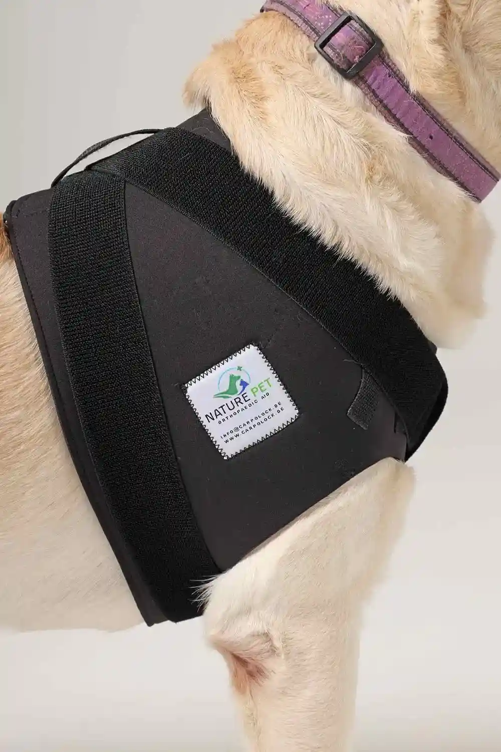 Schulterbandage-Hund-3 Vermeiden oder heilen Sie die SCHULTERPROBLEME ihres Hundes mit der Schulterbandage von Nature Pet