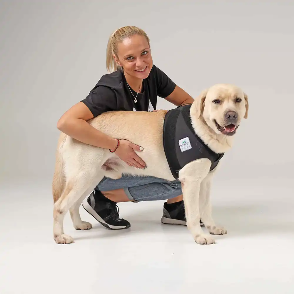 Schulterbandage-Hund Schulterbadage für Hunde von NATURE PET