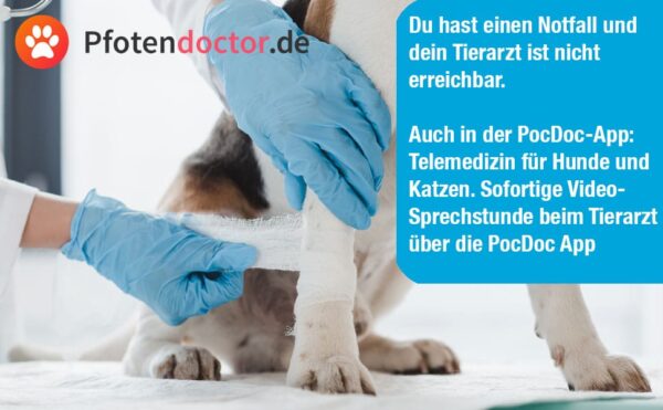 erste hilfe set katze