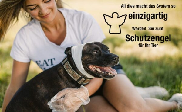 erste hilfe set hund unterwegs