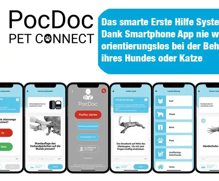 Alternative view of Erste Hilfe Set für Hunde