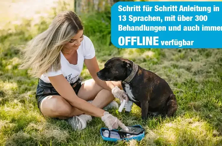 Erste Hilfe Set Hunde3