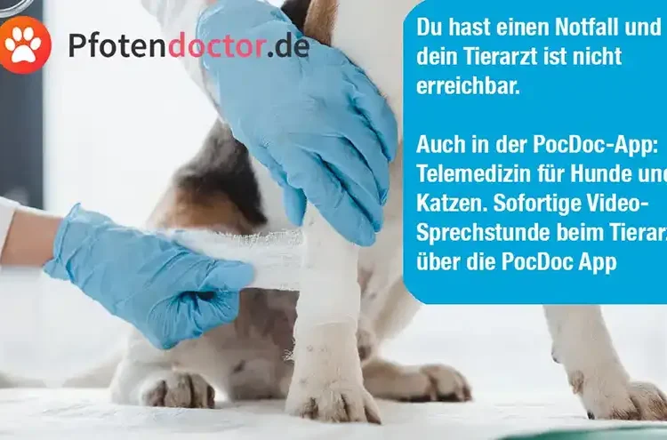 Erste Hilfe Set Hunde4