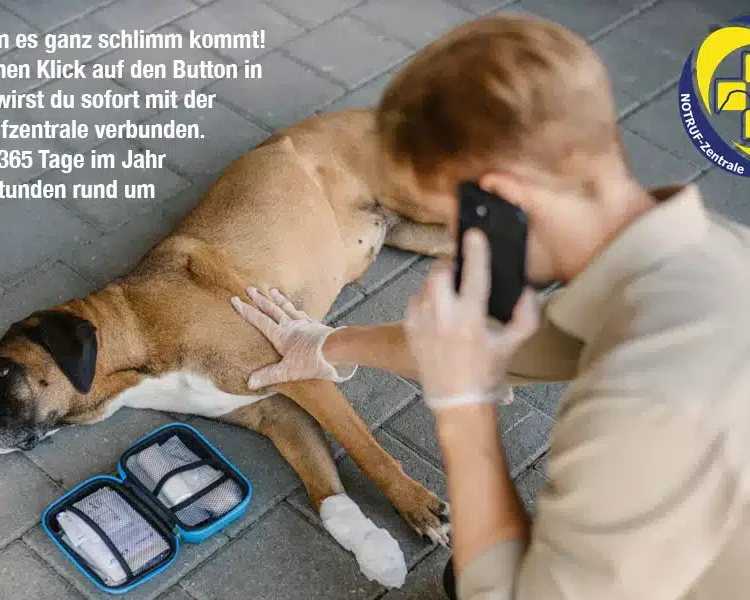 Erste Hilfe Set Hunde5