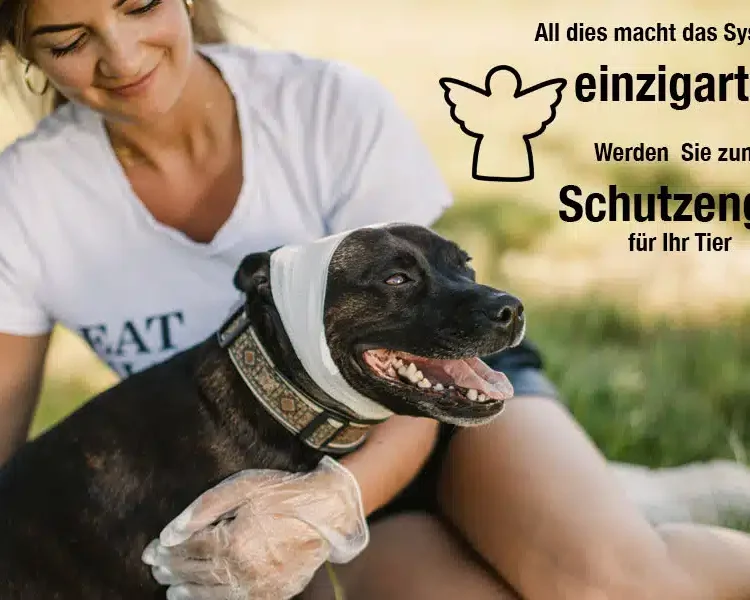 Erste Hilfe Set Hunde6