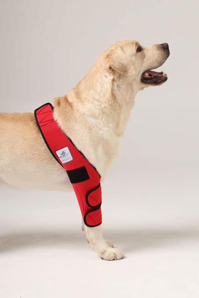 Nature Pet Ellenbogenbandage fuer Hunde