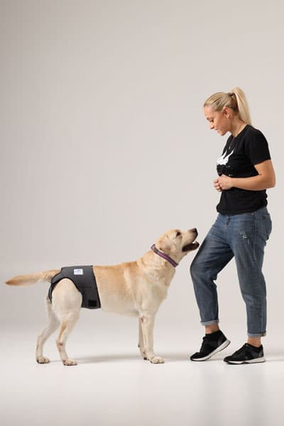Nature Pet Läufigkeitshose für Hündinnen