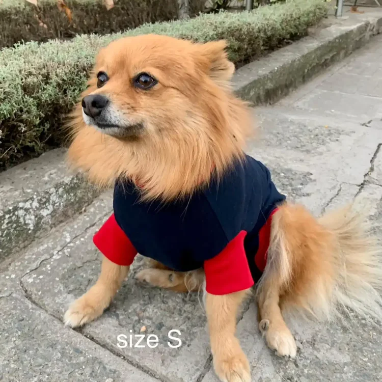 Hunde OP Body 21 Hunde Operations Schutzanzug und Beruhigungsshirt