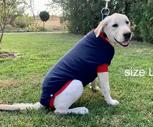 Hunde OP Body 23 Hunde Operations Schutzanzug und Beruhigungsshirt