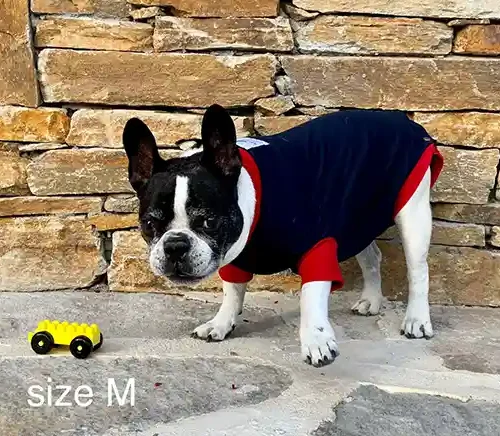 Hunde OP Body 31 Hunde Operations Schutzanzug und Beruhigungsshirt