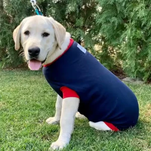 Hunde Operations Schutzanzug und Beruhigungsshirt