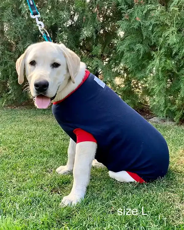 Hunde Operations Schutzanzug und Beruhigungsshirt