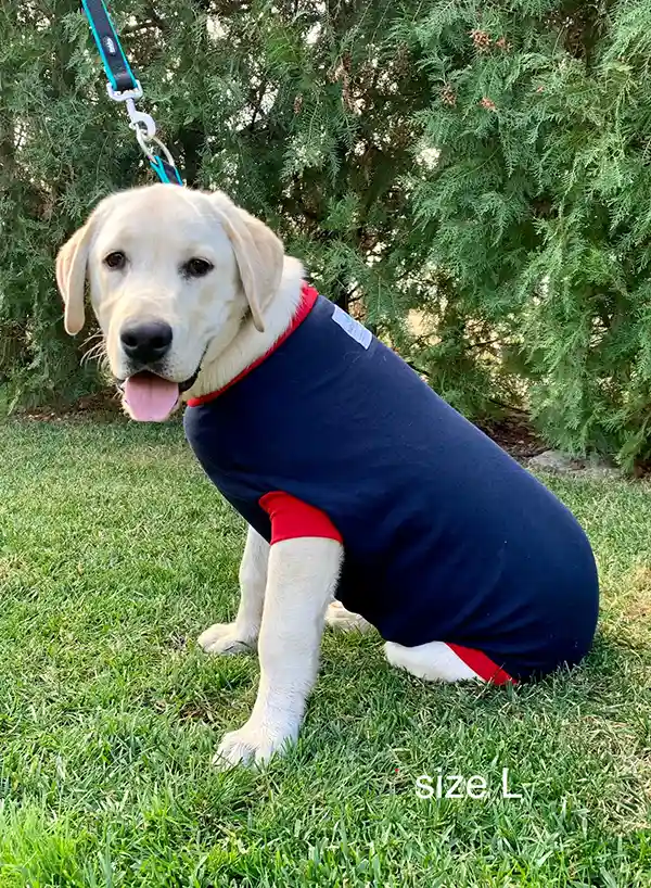 Hunde Operations Schutzanzug und Beruhigungsshirt