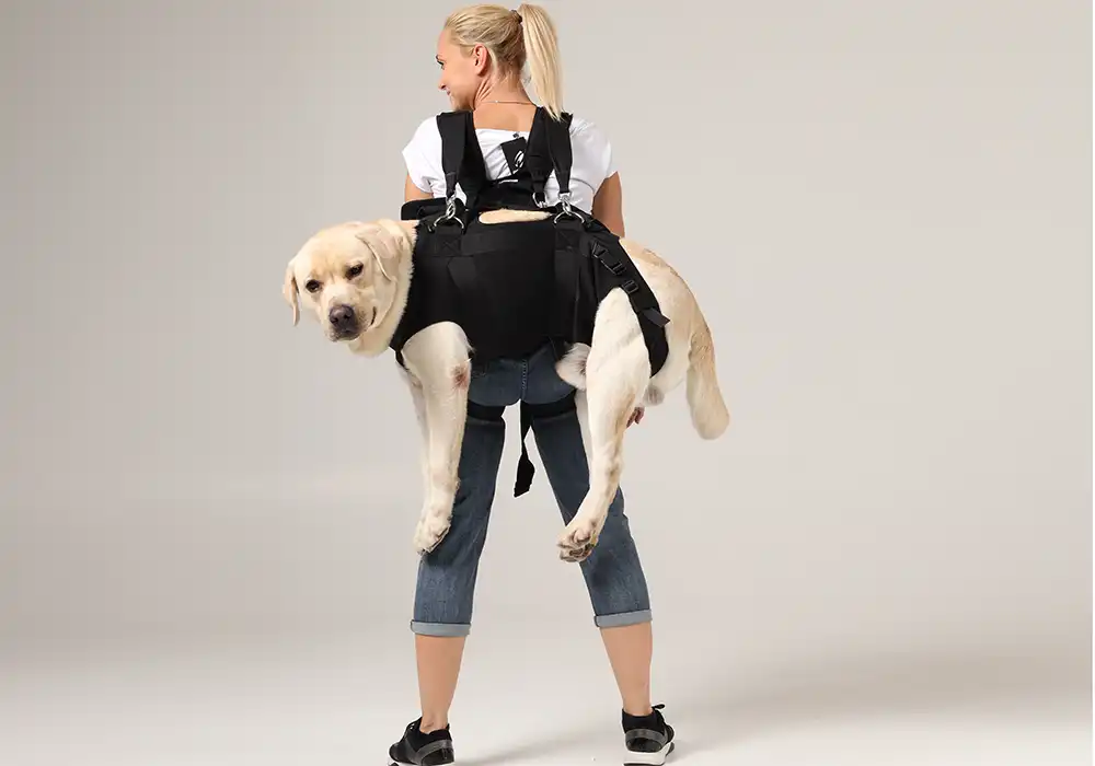 Spezial Tragegeschirr für Hunde. Der hund kann hiermit sicher auf dem Rücken oder vor der Brust getragen werden