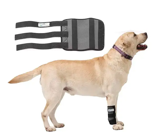 Nature Pet Sport Bandage für Hunde