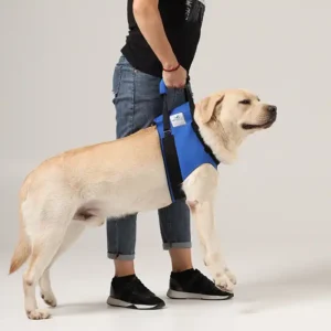 Hundetragehilfe vorne zum sicheren führen ihres Hundes