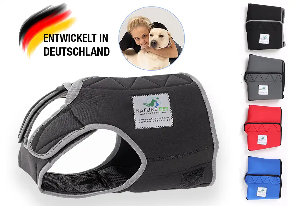 Läufigkeitshose-Nature-Pet laeufigkeitshose von nature pet in verschiedenen farben