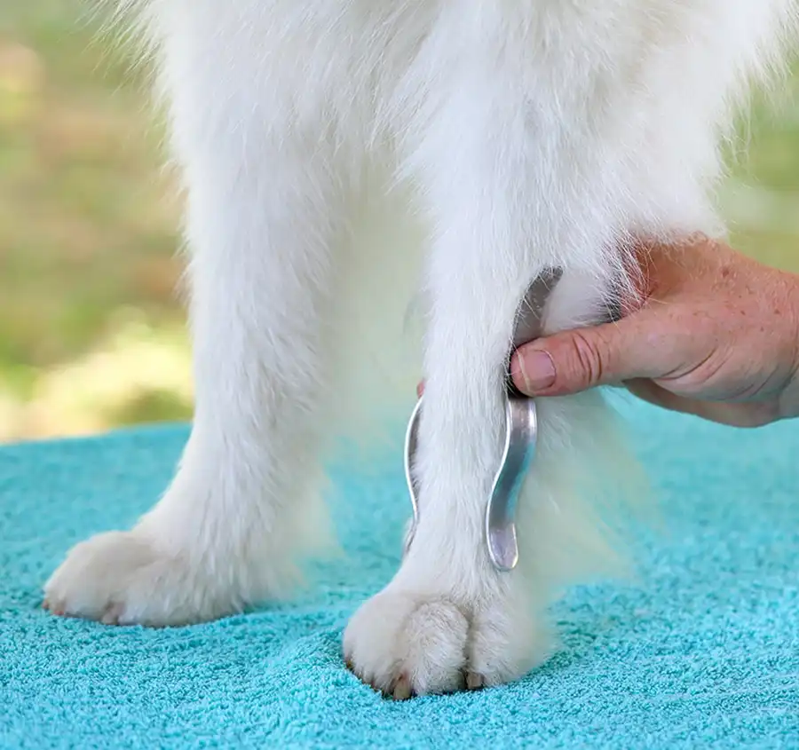 Anmodellieren der Aluschienen an das Handgelenk des Hundes Pfaff Nature Pet Premium Hundebandage