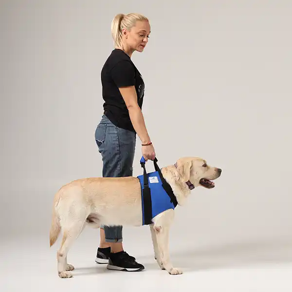 Hunde Tragehilfe_vorne Hunde Tragehilfe für die Vorderläufe