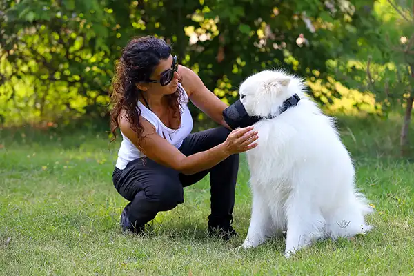 Giftköderschutz Giftköderschutz und Operation Leckschutz für Hunde