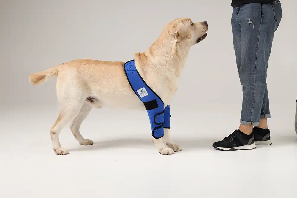 Nature Pet Liegeschwielenbandage und Ellenbogenbandage für Hunde