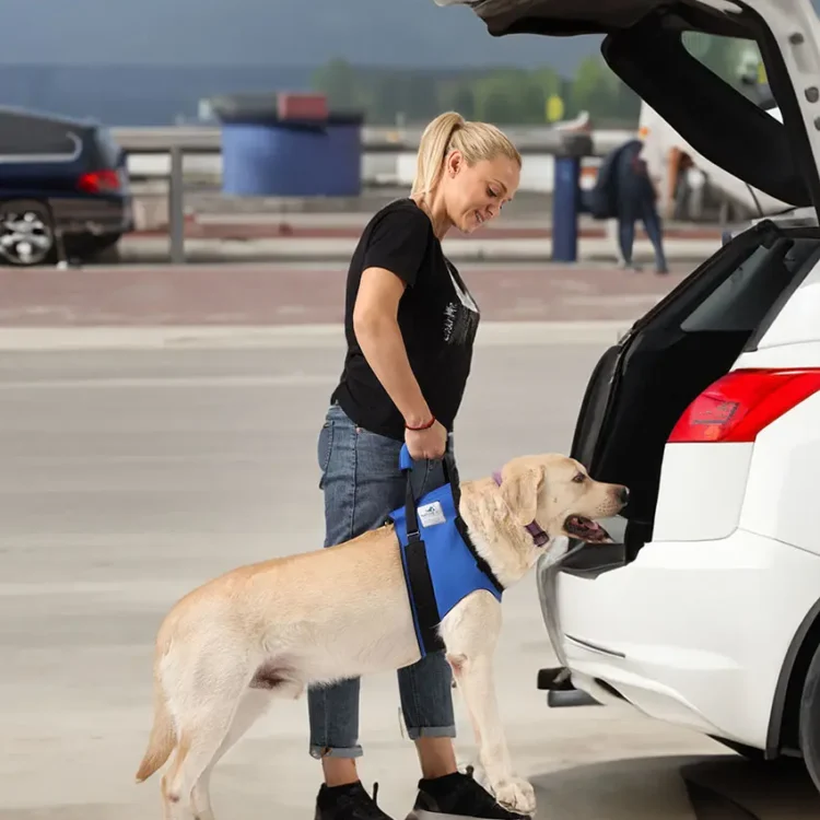 Hunde Tragehilfe vorne 21 Tragehilfe Hund vorne