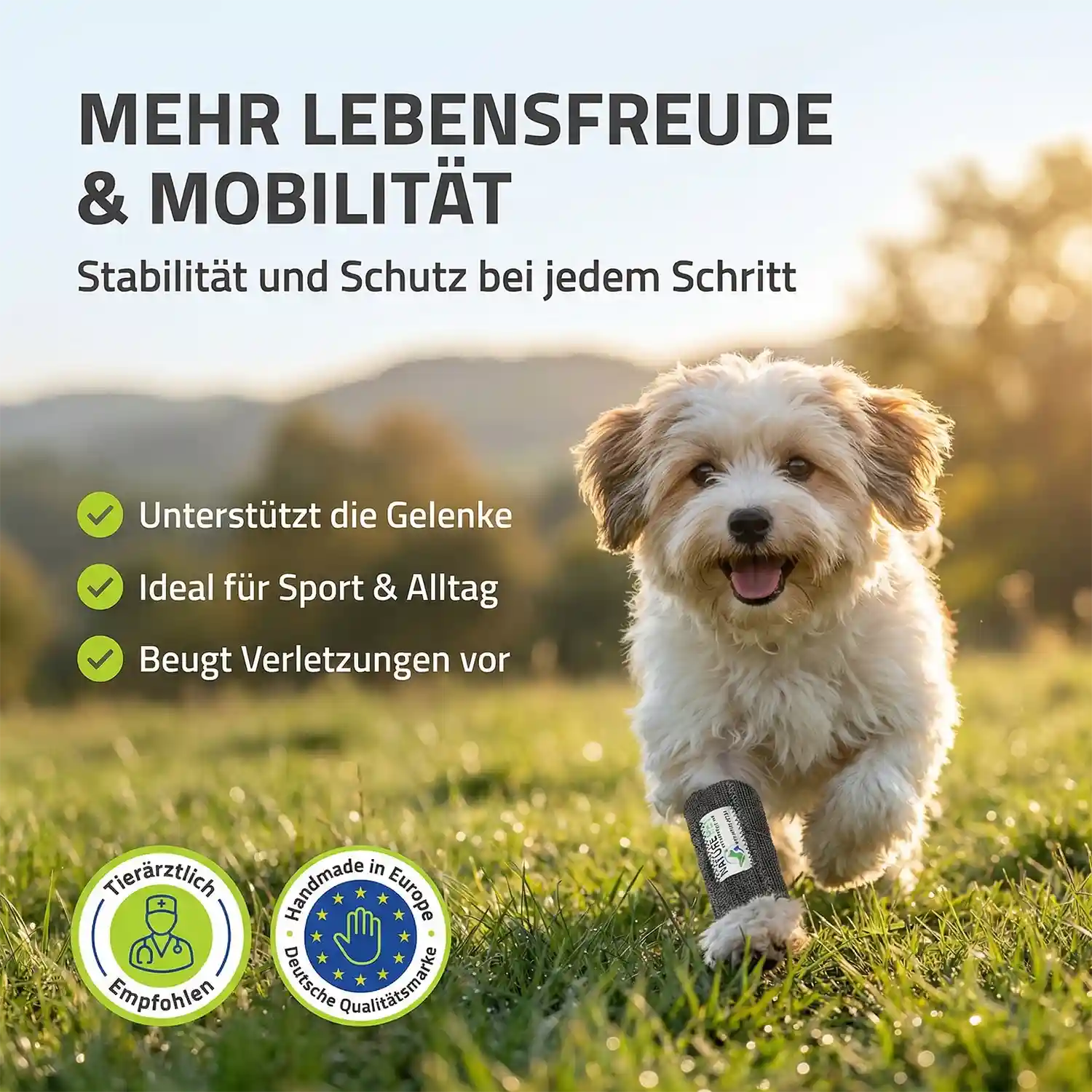 Hundebandage für Kleine Hunde