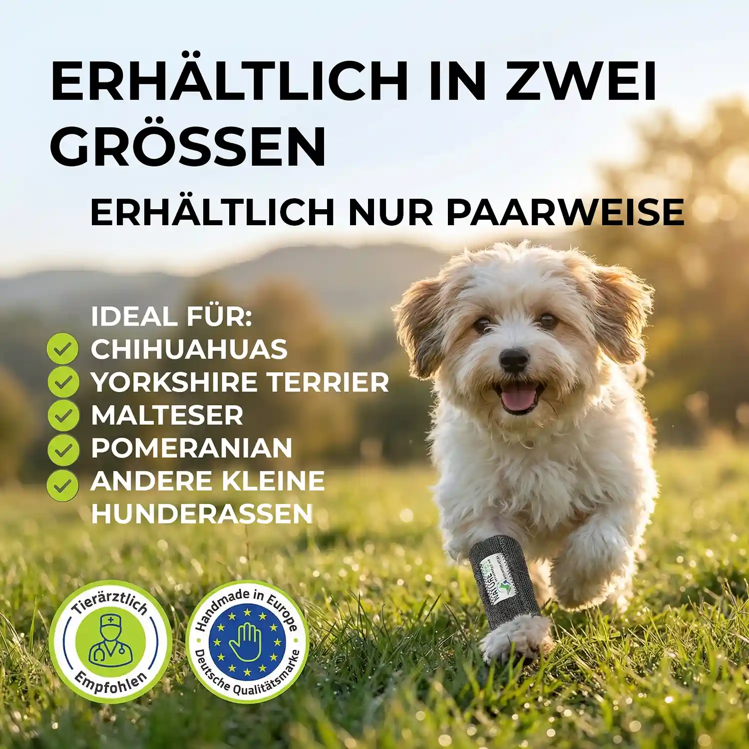 Hundebandage für Kleine Hunde