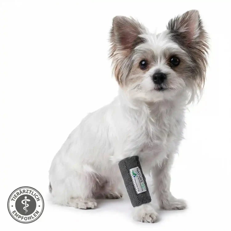 Hundebandage für Kleine Hunde
