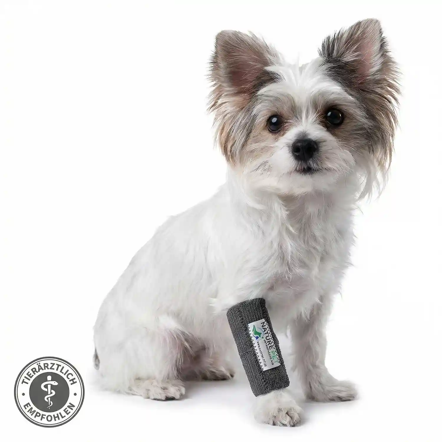 Hundebandage für Kleine Hunde