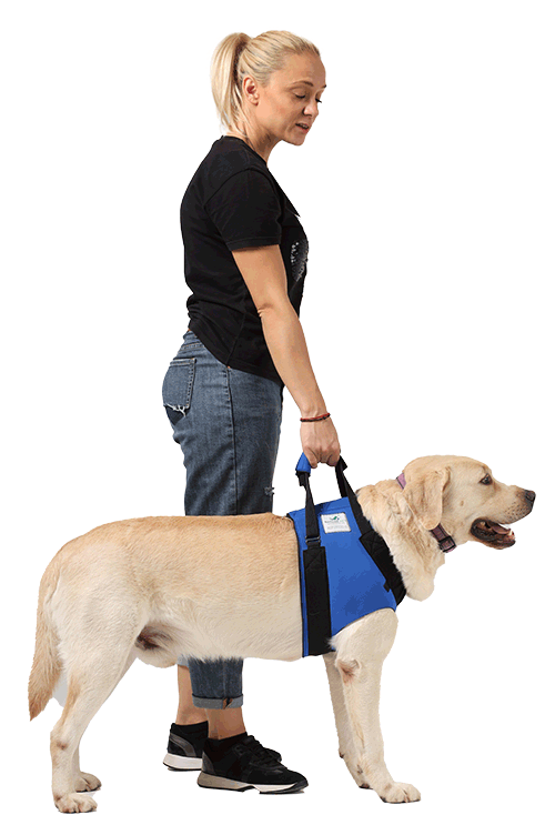 Hunde Tragehilfe vorne 36 Nature Pet Tragehilfe Vorne